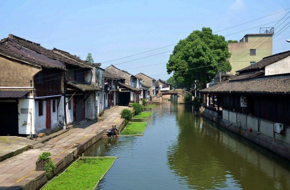 三都首批羊肚菌“抢鲜”上市